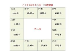 纳音五行表查询