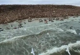 ​八字测遭遇水火之灾