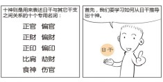 看漫画学八字：十神六亲