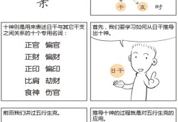看漫画学八字：十神六亲