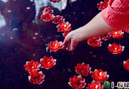 八字​日德星详解大全