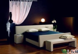 家有这10种东西必破财