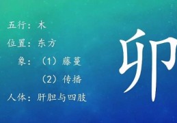 八字地支三个卯好吗