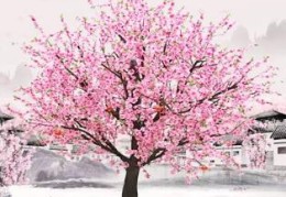 住宅风水提升桃花运的禁忌