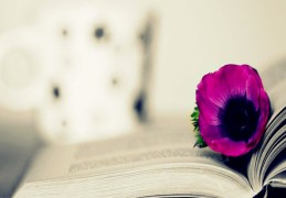 偏旺的八字好吗