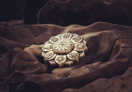 命理解析两神成象格