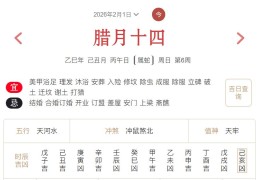 2026年2月1日每日五行穿衣指数解读搭配
