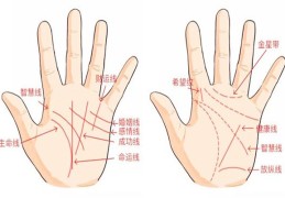 男人桃花旺的手相特征