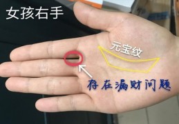 懂理财的女人手相特征