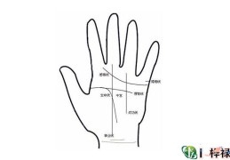 手掌线路看命运好坏