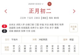 2025年1月30日每日五行穿衣指数解读搭配