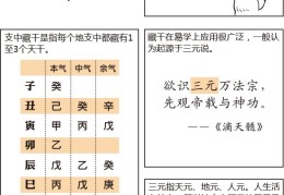 漫画学八字——地支藏干