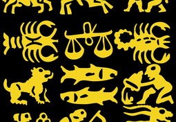 水命人适合什么职业