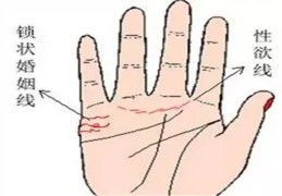 婚姻线的手相看法