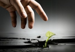 福气厚重的八字格局