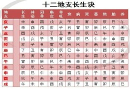 八字十天干长生含义