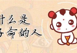 命中是否有童子命如何查询