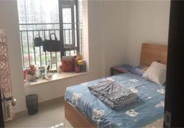 搬进刚租的房子需要注意什么