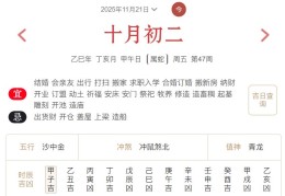 2025年11月21日每日五行穿衣指数解读搭配