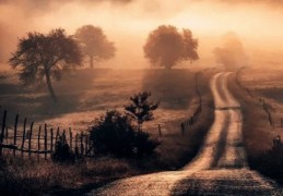 七杀格整体运势