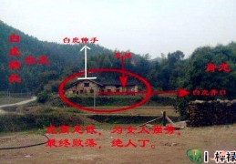 风水中犯白虎探头含义及化解