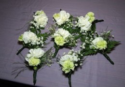 五行无水忌讳什么（五行无水忌讳什么颜色）