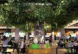 饭店门口有树风水好吗