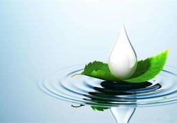 八字从比格命好不好