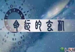 学习八字命理的步骤