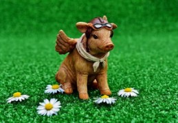 2024年最强的四大生肖男（2024年哪些生肖运势好）