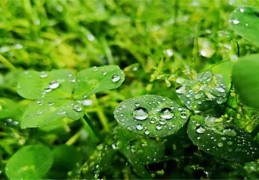 ​八字癸水日元命理特征分析