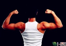 男人肩部面相解析