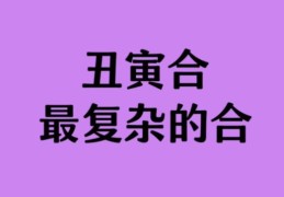 丑寅之间的关系是什么