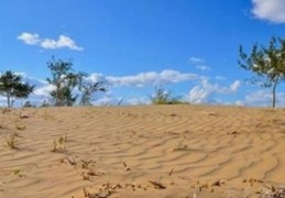 沙中土命的含义