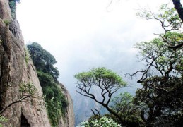 盲派八字看环境秘诀