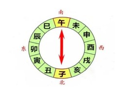 八字地支子午相冲好吗