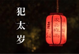 太岁是什么意思