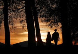 男命走伤官运好不好