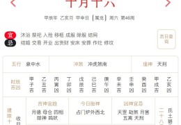 2024年11月16日每日五行穿衣指数解读搭配