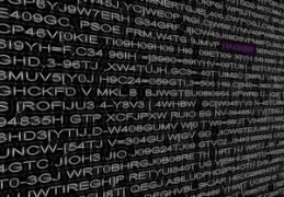 伤官制杀是什么意思