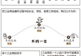 漫画学八字——八字推算规则（三）