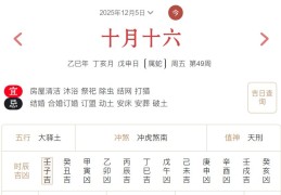 2025年12月5日每日五行穿衣指数解读搭配