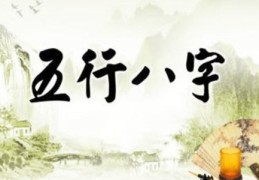 八字看职业口诀（八字看职业口诀解）