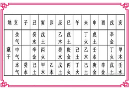 ​如何理解十二地支藏干，十二地支藏干要怎样记比较好