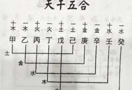 八字相合类型