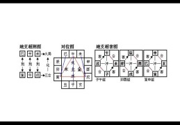 地支的作用关系