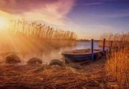 十神喜忌看富贵