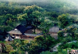 八字入门之五行土的职业类象（五行土的行业职业）