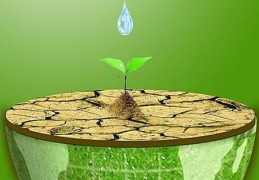 八字调候用神的取法