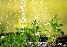 八字纳音五行土命好吗